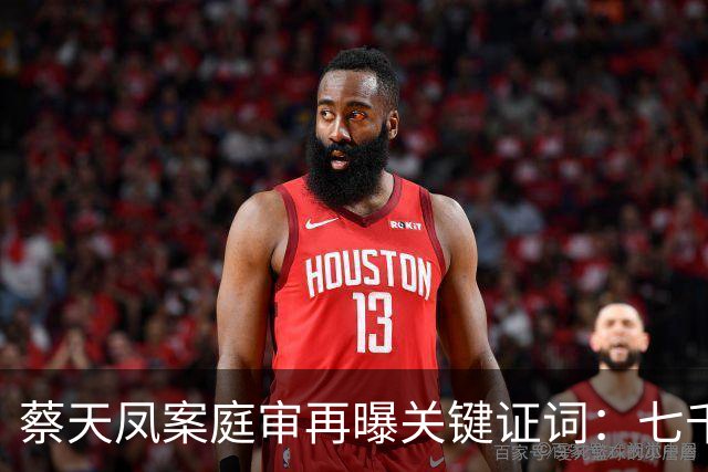 蔡天凤案庭审再曝关键证词：七千万全款买楼写别人名字，这笔账最后用命来还